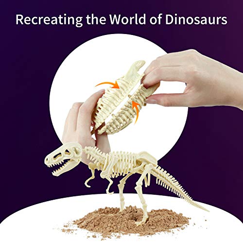 Dino Digging Fossil Kit for Kids