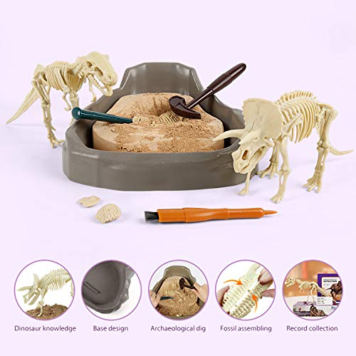 Dino Digging Fossil Kit for Kids