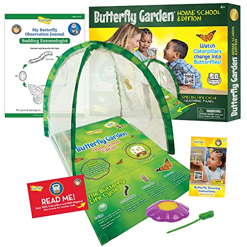 Butterfly Growing Kit with Clear Viewing Panel