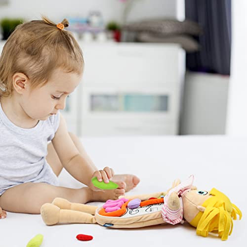 Human Body Anatomy Plush Toy for Kids
