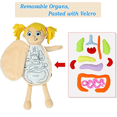 Human Body Anatomy Plush Toy for Kids