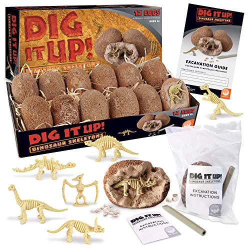 Dino Skeleton Eggs Excavation Kit with Tools & Instructions
