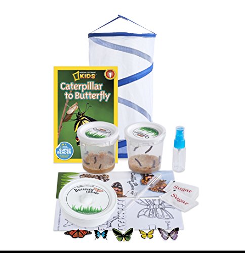 Butterfly Growing Kit: 10 Live Caterpillars, Cage & Book