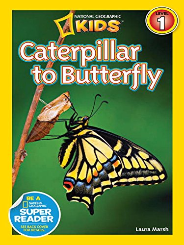 Butterfly Growing Kit: 10 Live Caterpillars, Cage & Book