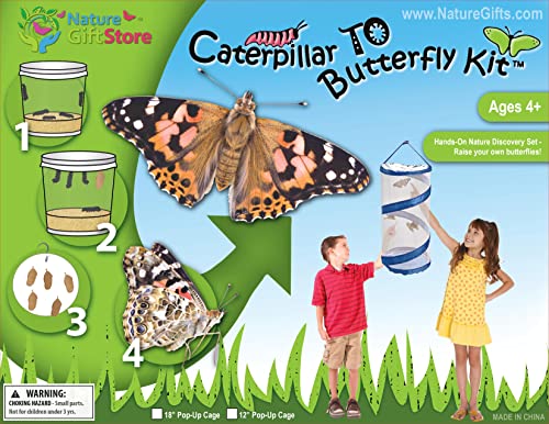 Butterfly Growing Kit: 10 Live Caterpillars, Cage & Book