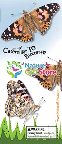 Butterfly Growing Kit: 10 Live Caterpillars, Cage & Book