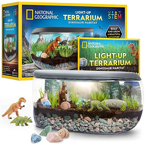 Light Up Dinosaur Terrarium for Kids