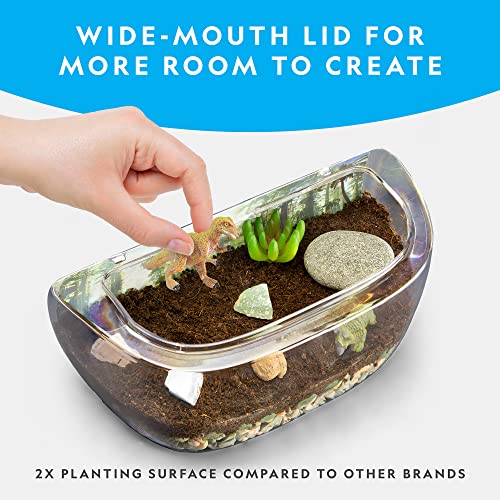 Light Up Dinosaur Terrarium for Kids