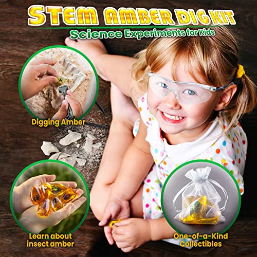 STEM Insect Dig Kit for Kids