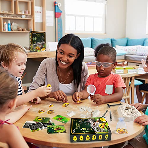 STEM Insect Dig Kit for Kids