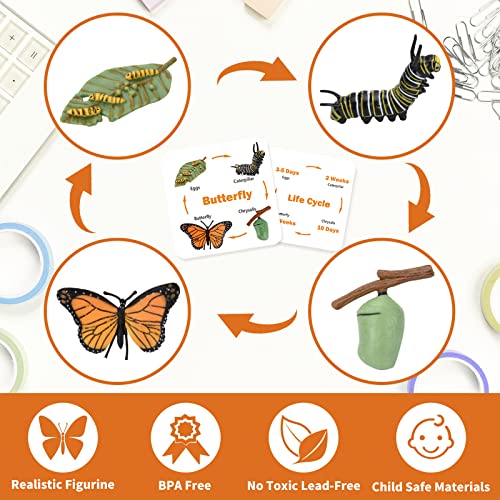 Montessori Animal Life Cycle Figurine Set