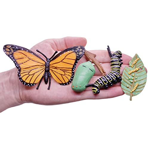Montessori Animal Life Cycle Figurine Set