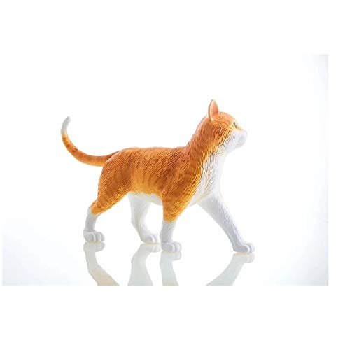 Orange Tabby Cat Skeleton Model Kit