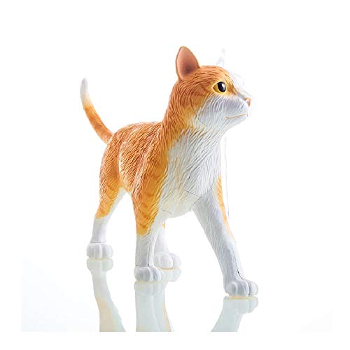 Orange Tabby Cat Skeleton Model Kit