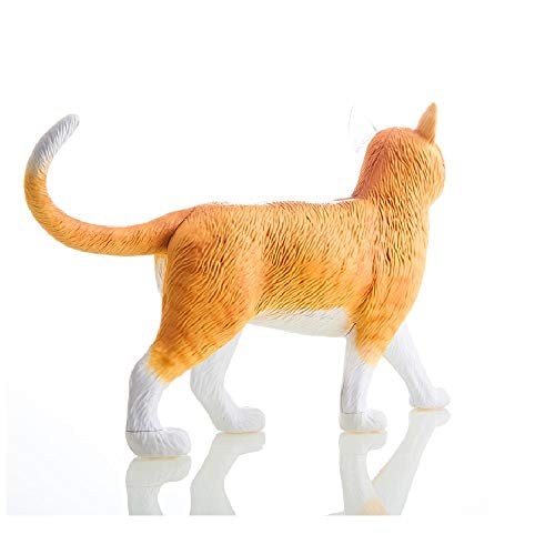 Orange Tabby Cat Skeleton Model Kit