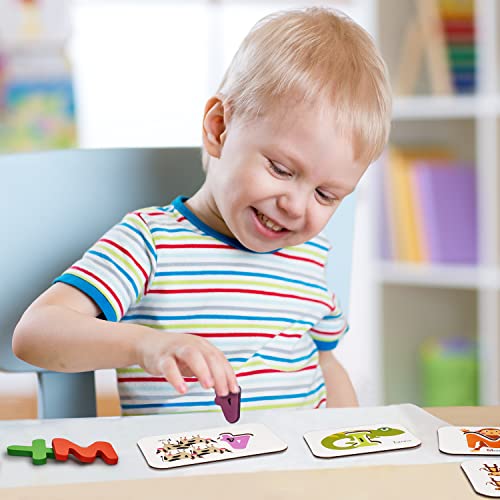 Educational Wooden Flash Cards & Block Set