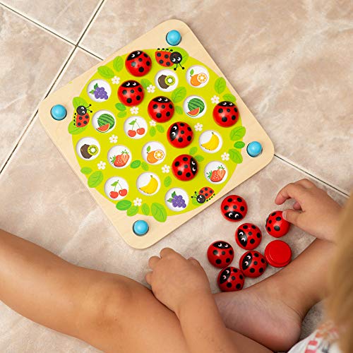 Ladybug's Garden Memory Game for Kids Age 3+