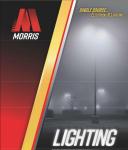 Morris 73127 Weatherproof Remote Emergency Light Head