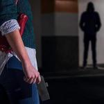 Rechargeable Stun Gun with LED Flashlight