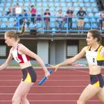 8 Pack Aluminum Relay Batons for Track Events