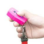 Selfstrike Mini Stun Gun with Keychain Flashlight
