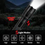 Compact Zoomable LED Flashlights - 2 Pack