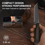 Kizer Begleiter Tanto Fixed Blade EDC Knife