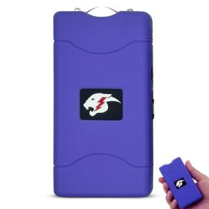 FURY Mini Stun Gun with Flashlight and Case