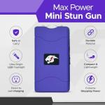 FURY Mini Stun Gun with Flashlight and Case