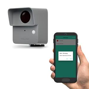 YoLink LoRa Smart Outdoor Motion Detector Sensor, Driveway Alert, Property Invasion/Tresspassing Detector, 1/4 Mile Open Air Range, Email/SMS/Push Alerts, Alexa, IFTTT, Home Assistant (Hub Required)