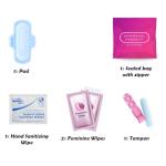 Stylish Menstrual Kit – Travel-Friendly 60 Pack