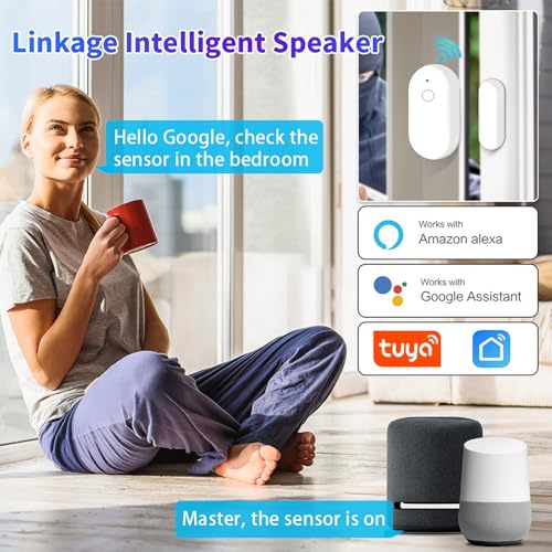 Tuya app WiFi Door and Window Sensor Alarm, Home Office Apartment Safety Door Magnetic Alarm, no Cost, no Need for hub, (Set of 2)
