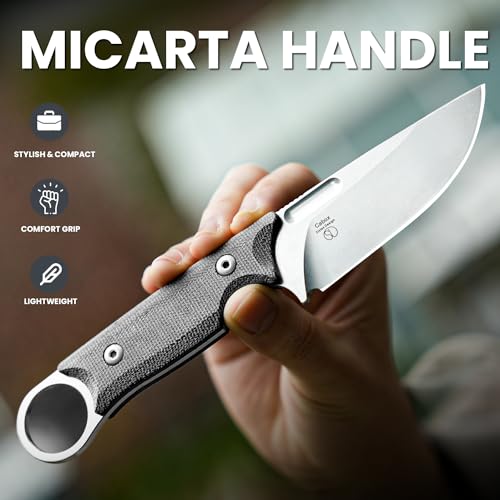 Kizer Cabox Fixed Blade Knife 3.35 Inches D2 Steel Fixed Blade Hunting Knife Micarta Handle with Sheath Pocket Knife1048A1