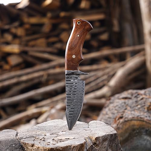 Damascus hunting knife fixed blade - 10 Inches Handmade Knife with Sheath - Perfect Camping, Outdoor & Skinning Knives - 1080 & 12C27 Damascus Steel Knife with Leather Sheath - Hunting Knives for Men (Walnut Rose Wood)