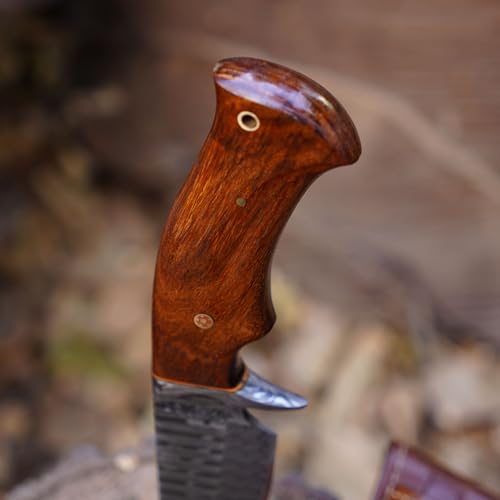 Damascus hunting knife fixed blade - 10 Inches Handmade Knife with Sheath - Perfect Camping, Outdoor & Skinning Knives - 1080 & 12C27 Damascus Steel Knife with Leather Sheath - Hunting Knives for Men (Walnut Rose Wood)