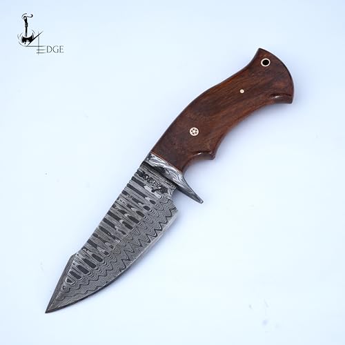 Damascus hunting knife fixed blade - 10 Inches Handmade Knife with Sheath - Perfect Camping, Outdoor & Skinning Knives - 1080 & 12C27 Damascus Steel Knife with Leather Sheath - Hunting Knives for Men (Walnut Rose Wood)