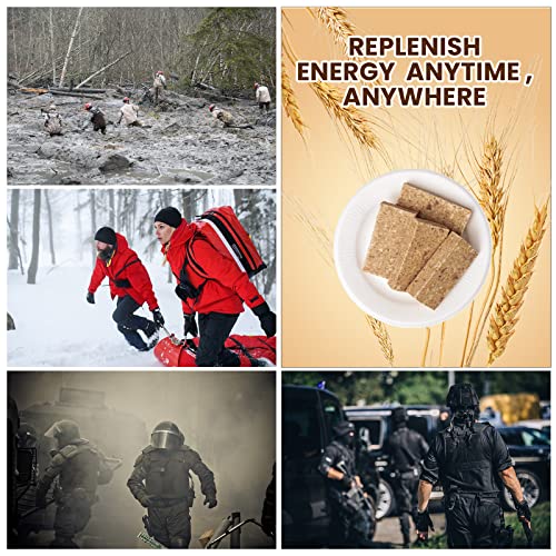 Long-Lasting Survival Food Ration Bars - Original Flavor