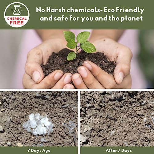 Eco-Friendly Emergency Toilet Gel and Powder Deodorizer