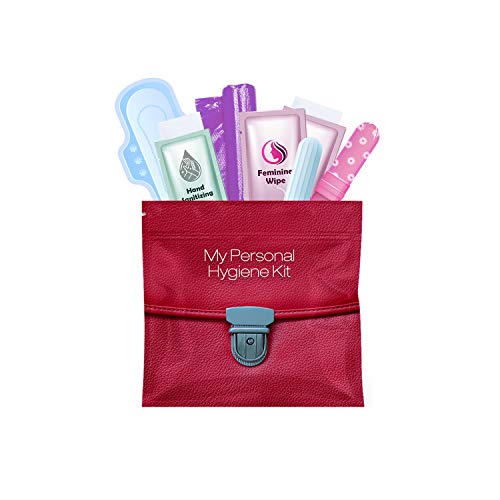 All-in-One Menstrual Kit for Travel (Red Purse)