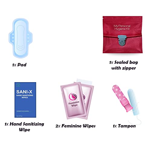 All-in-One Menstrual Kit for Travel (Red Purse)