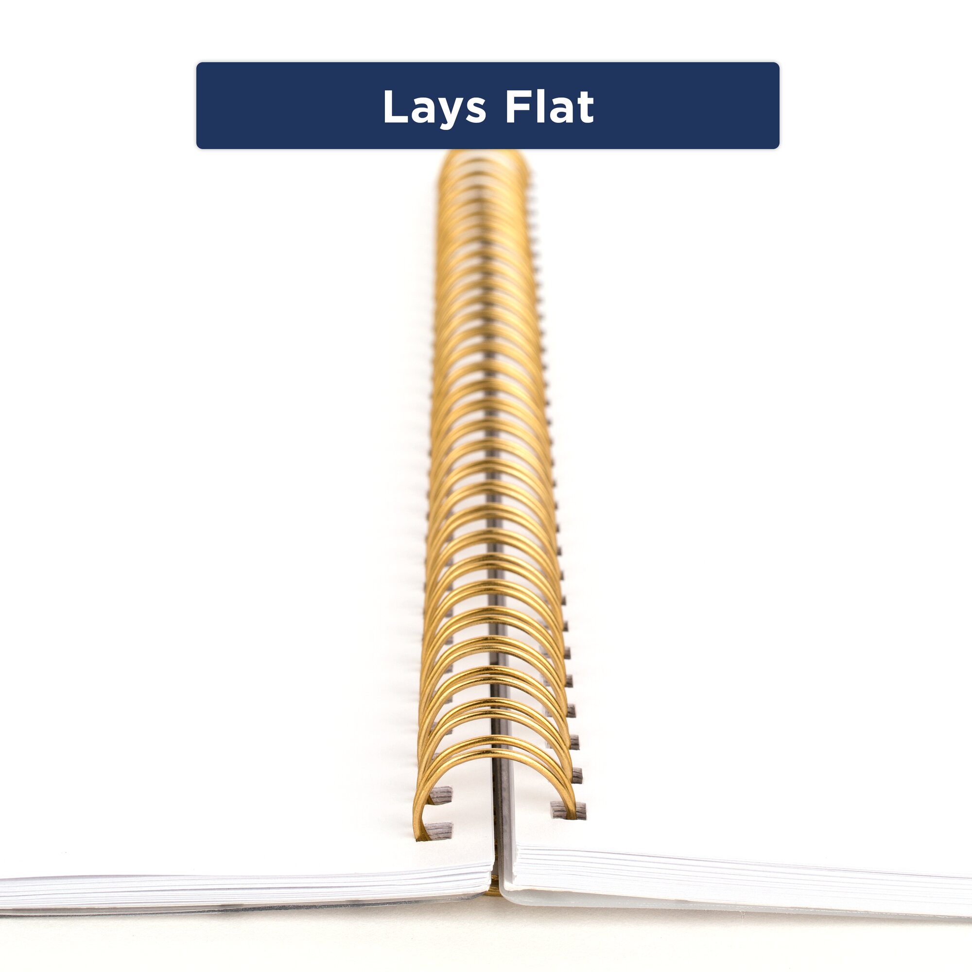 Cambridge Geovani Customizable 2023 Weekly Monthly Planner Large 8 12 x 11 -