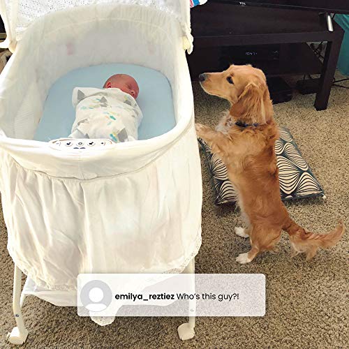 Delta Children Deluxe Sweet Beginnings Bedside Bassinet - Falling Leaves