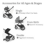 UPPAbaby Ridge Jogging Stroller - Carbon Frame, Never-Flat Tires