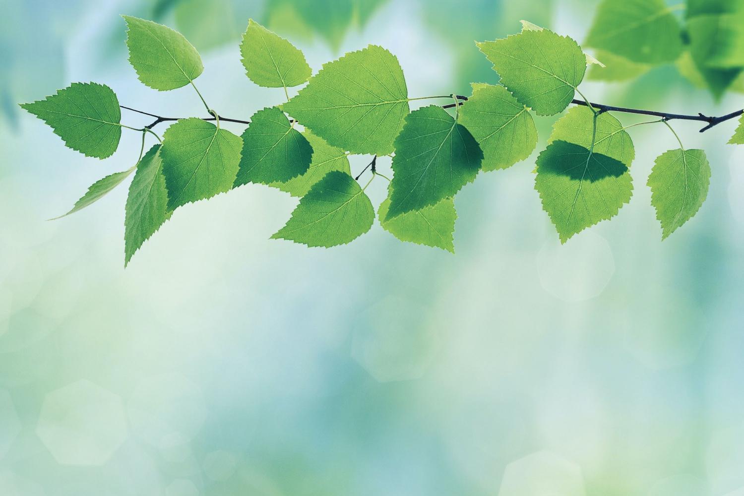 US Dollar bills scattered on the floor