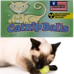 Petsport Usa Inc. Catnip Balls Cat Toy, 2 Count