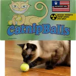 Petsport Usa Inc. Catnip Balls Cat Toy, 2 Count