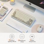 Mechanical ASMR Keyboard Set with Mouse and Palm Rest - LOFREE Zero ARTZ
