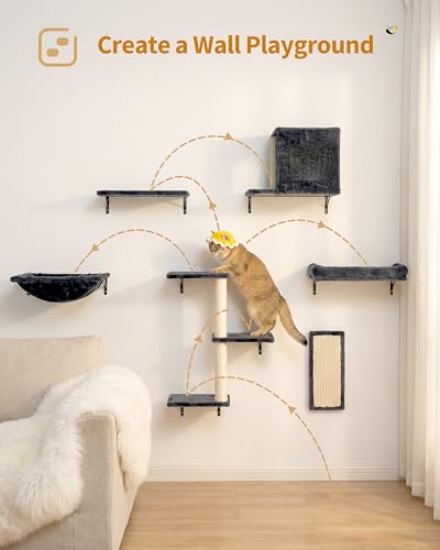 Cat Shelves