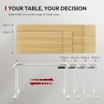 Marco elevable eléctrico SANODESK E1 PRO con doble motor, color blanco