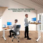 Tablakala Escritorio Elevable Eléctrico 2 Motores 120x60 cm